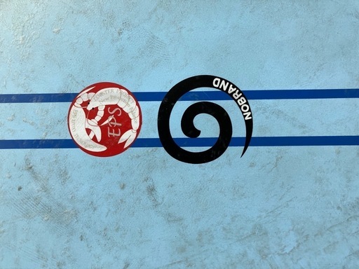 湘南ブランドボード 倉庫)ハイブリッドロングボード9.1湘南ブランドEPS