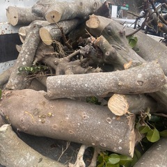 薪決まりましたの画像