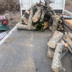 薪決まりました