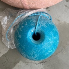 津波に呑まれた時しがみつくものの画像