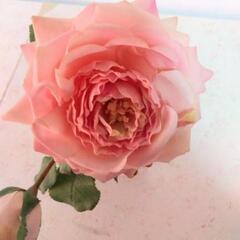 映えます！玄関に♥本物にしか見えない薔薇　の画像