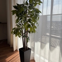 【取引終了】観葉植物　フェイクグリーン　ベンジャミン