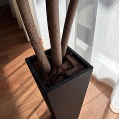 【取引終了】観葉植物　フェイクグリーン　ベンジャミンの画像