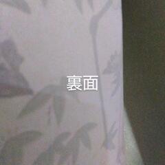 鶴亀 　掛け軸の画像