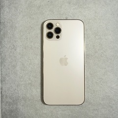 iPhone 12Pro 256GB