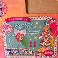 プリキュアの変身プリチューム（キュアサマー）の画像