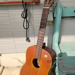 Hashimoto Guitar 