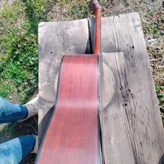 Hashimoto Guitar の画像