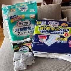 大人用紙パンツ、パット