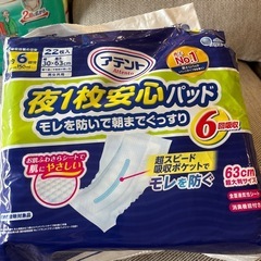 大人用紙パンツ、パットの画像