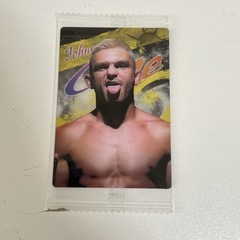 [トレカ]3:RIZIN ウエハース カード No.20 ジョニ...