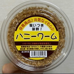 ハニーワーム約35匹入