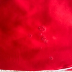 野田学園高校ジャージ上下
の画像