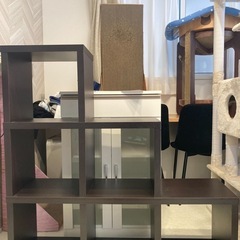 【譲り先決定】ダークブラウン棚の画像