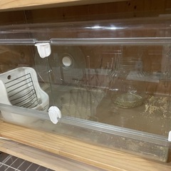 グラスハーモニー600