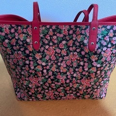 COACH   バシグの画像