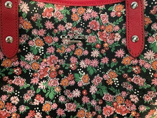 COACH   バシグ