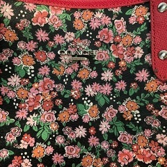 COACH   バシグの画像