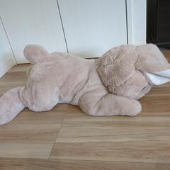 ジャイアントラビットの画像