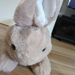 ジャイアントラビットの画像