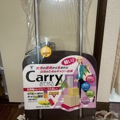 山善 折りたたみ台車 39×44cm 耐荷重80kg Carry...