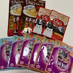 子猫用レトルトまとめ売りの画像