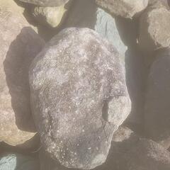 庭石あげます