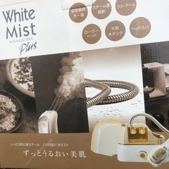 NO：3337 ホワイトミストプラス‼️   美品の画像
