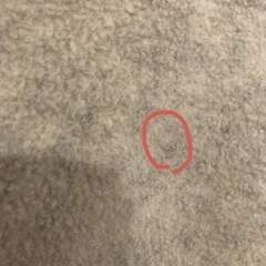 Patagonia Synchilla フリース Mサイズ グレーの画像