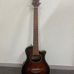 Stetch エレアコ アコースティックミニギター