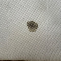 マットレス差し上げます！(取りに来ていただける方)の画像