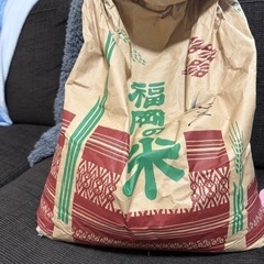 精米したばかりの行橋のお米12kg♫