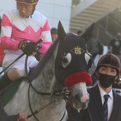 中山競馬場に一緒に行きませんか？🐴