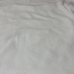 電気毛布(引き渡し決定)の画像
