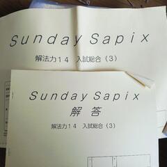 Sunday Sapix 解法力 Sunday 六年级