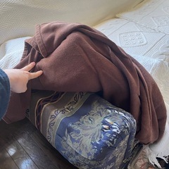 2人掛けソファ
の画像