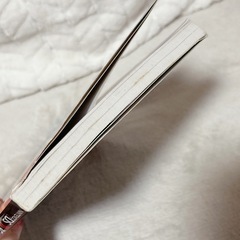 DSおいでよどうぶつの森ガイドブックの画像