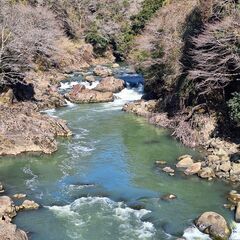美しい自然を眺める場所は熊本のどこでしょうか？🍃🌷