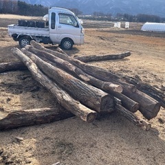 薪用　楢原木　ナラ原木　１m3