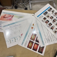 シャリオン製セルフホワイトニングLEDの画像