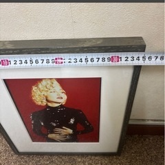 マリリン・モンロー 額縁の画像