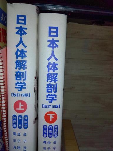 人体解剖学