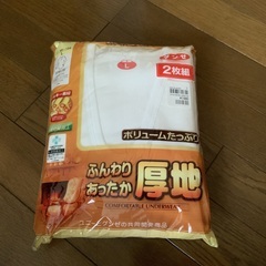 グンゼ　メンズ　アンダーシャツ　厚地　長袖　Lサイズ　2枚組　新品