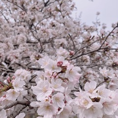 民泊でのお仕事ですの画像