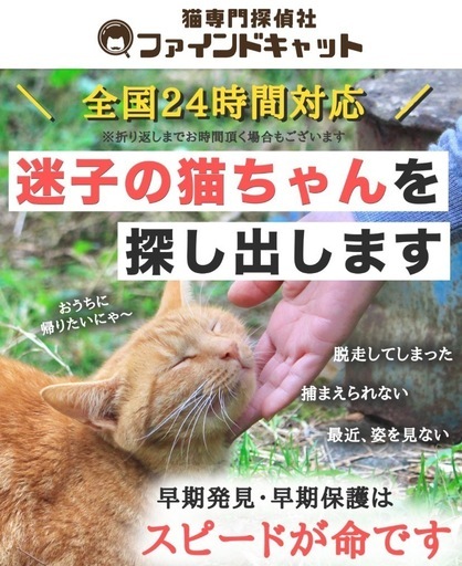 ネコちゃん探偵ページ　送金用 ネコちゃん探偵様専用ページ 送金用 （ペット探偵」のカリスマに