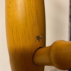ポールハンガー
の画像