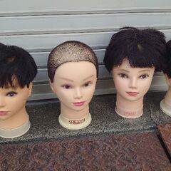マネキン！使い方楽しみ😄【美容室 練習マネキン😁鳥獣駆除カカシとして重宝✨❗】カットウィッグ/練習マネキン ◐1体からの販売 1体の価格 ✨まだ他にもあります！の画像