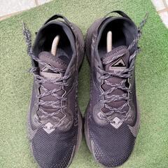 GORETEX/NIKE TRAIL PEGASUS GTX