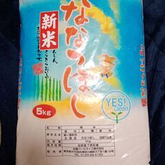 新米ななつぼし5kg　令和６年度　