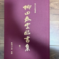 柳田泰雲　臨書集　現代名家臨書範　全2巻セット　　の画像